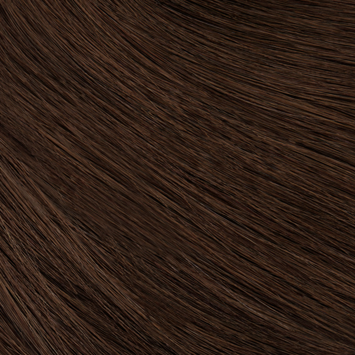 1b_darkbrown_neu